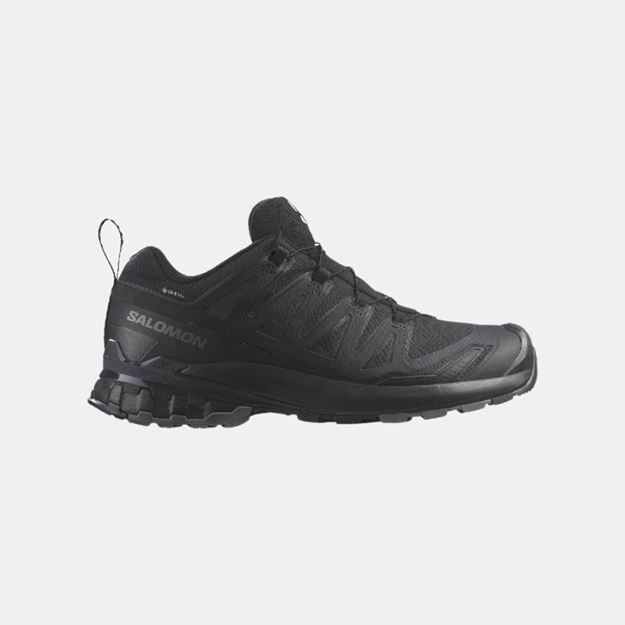 Picture of SALOMON XA PRO 3D GTX BLK/PHN